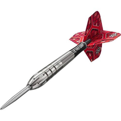 Šípky steel Target Nathan Aspinall G1 24g SP, 90% wolfram